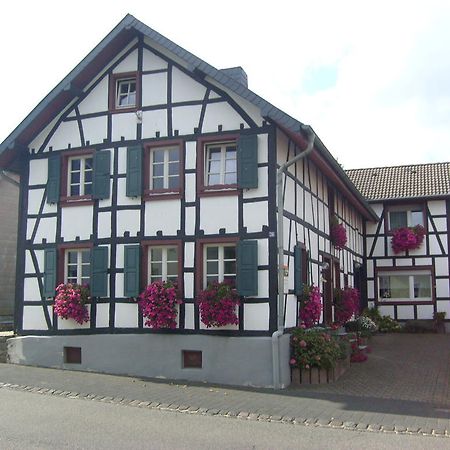 Ferienwohnung Duerbaum Schleiden Exterior photo