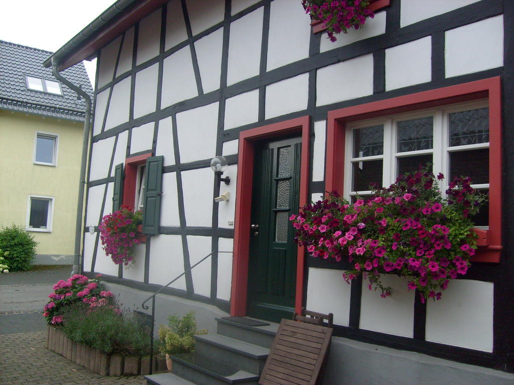 Ferienwohnung Duerbaum Schleiden Room photo
